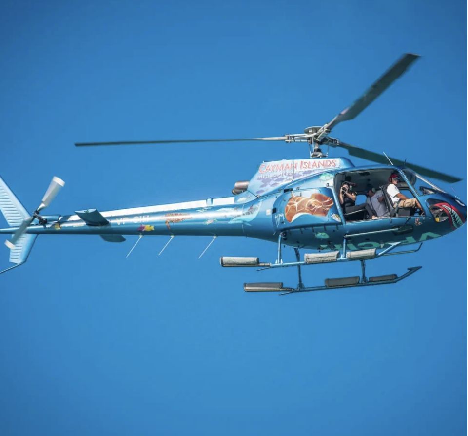 The AS350 VP-CIH in flight with its shark-face nose and reef-fish livery